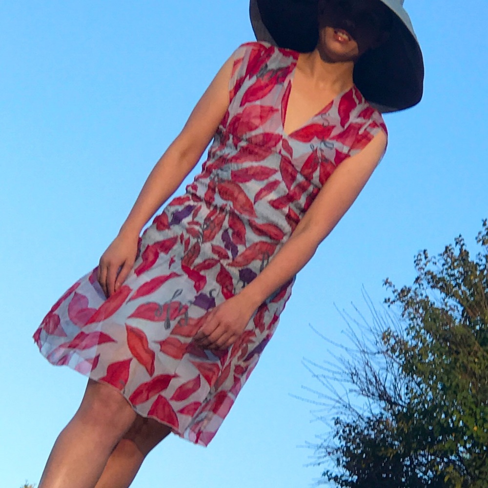 Diane Von Furstenberg “Lips” silk chiffon dress.